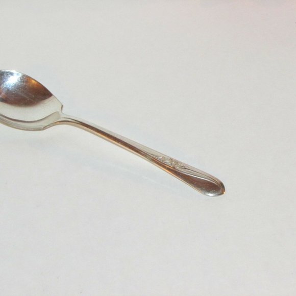 Vintage Silver Plate Sugar Spoon ROGERS MEADOW FLOWER Cottagecore - Picture 1 of 5
